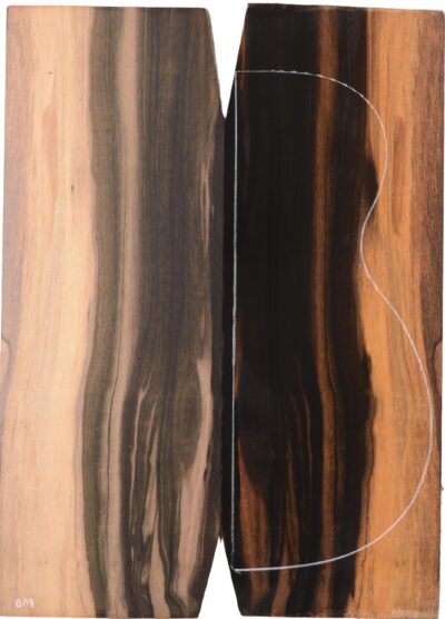 Ebony (Macassar) GuitarBack2pcATC L022977.G.021