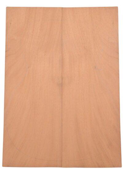 Mahogany (Sinker) GuitarBack2pcATC L023815.G.123