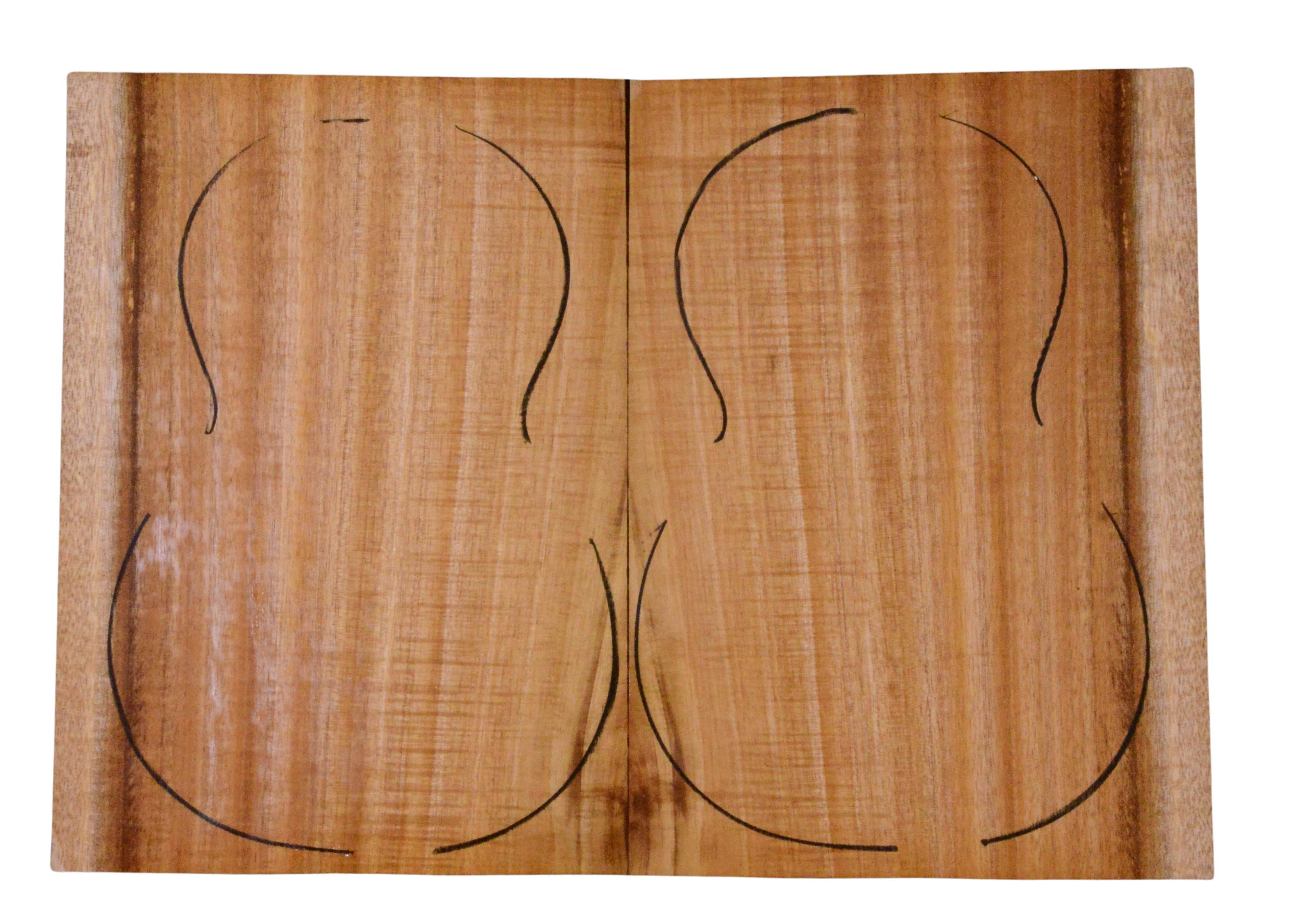 Koa UkeBack2pcATC L023945.G.006