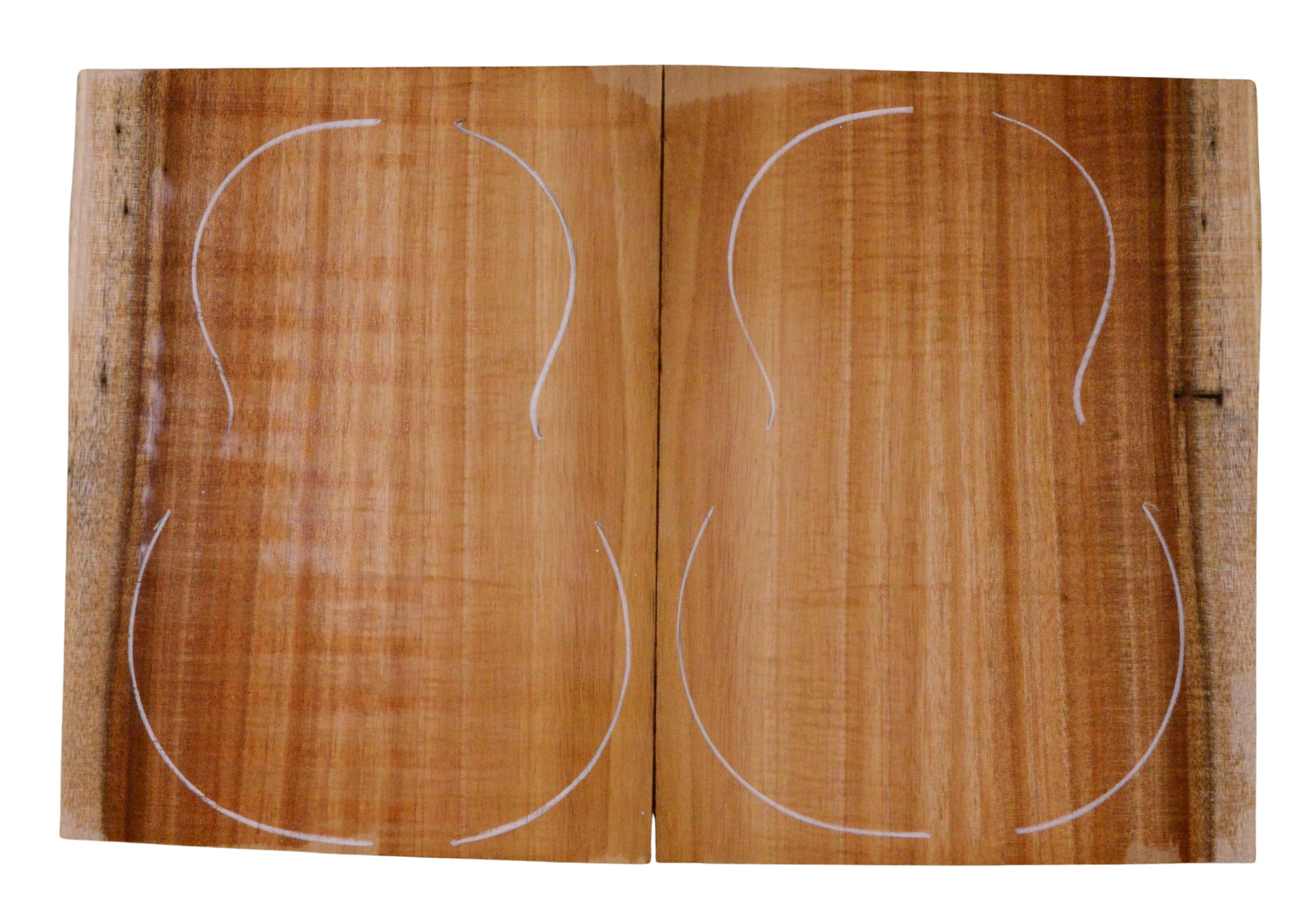 Koa UkeBack2pcATC L023945.G.007