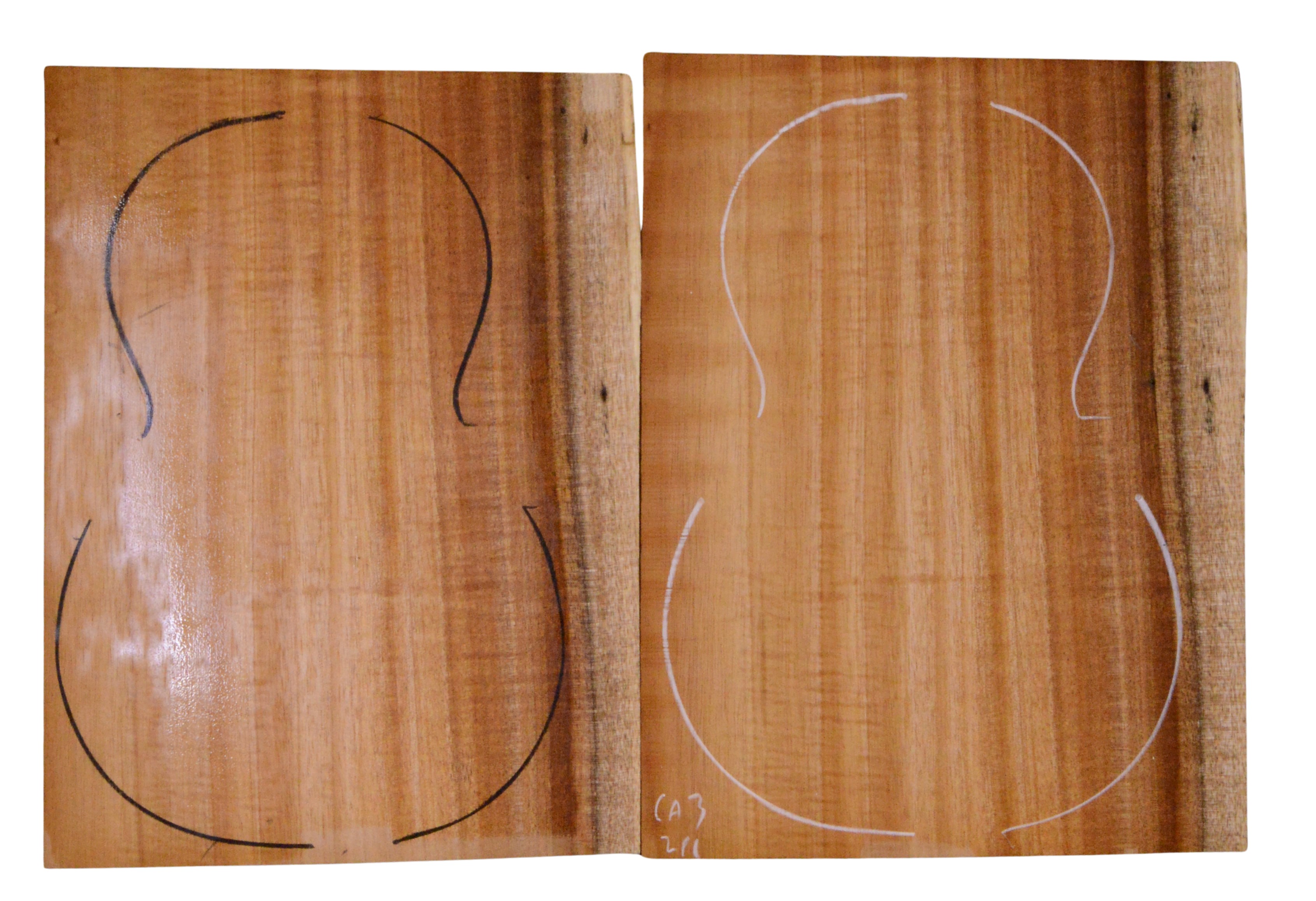 Koa UkeBack2pcATC L023945.G.008