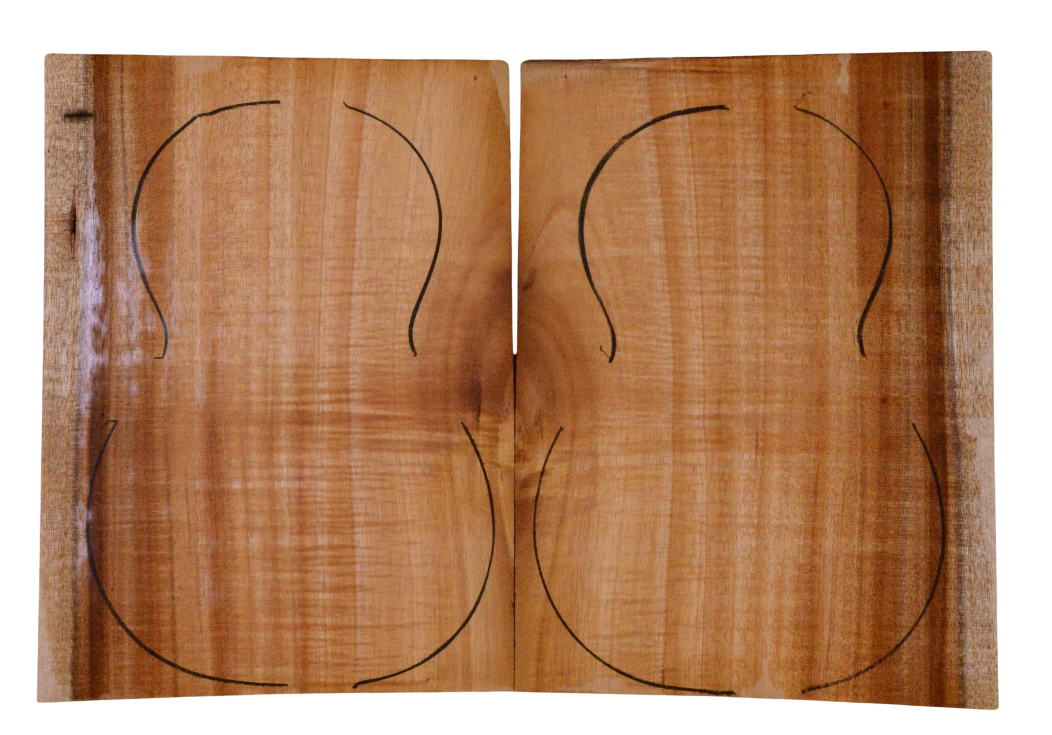 Koa UkeBack2pcATC L023945.G.009