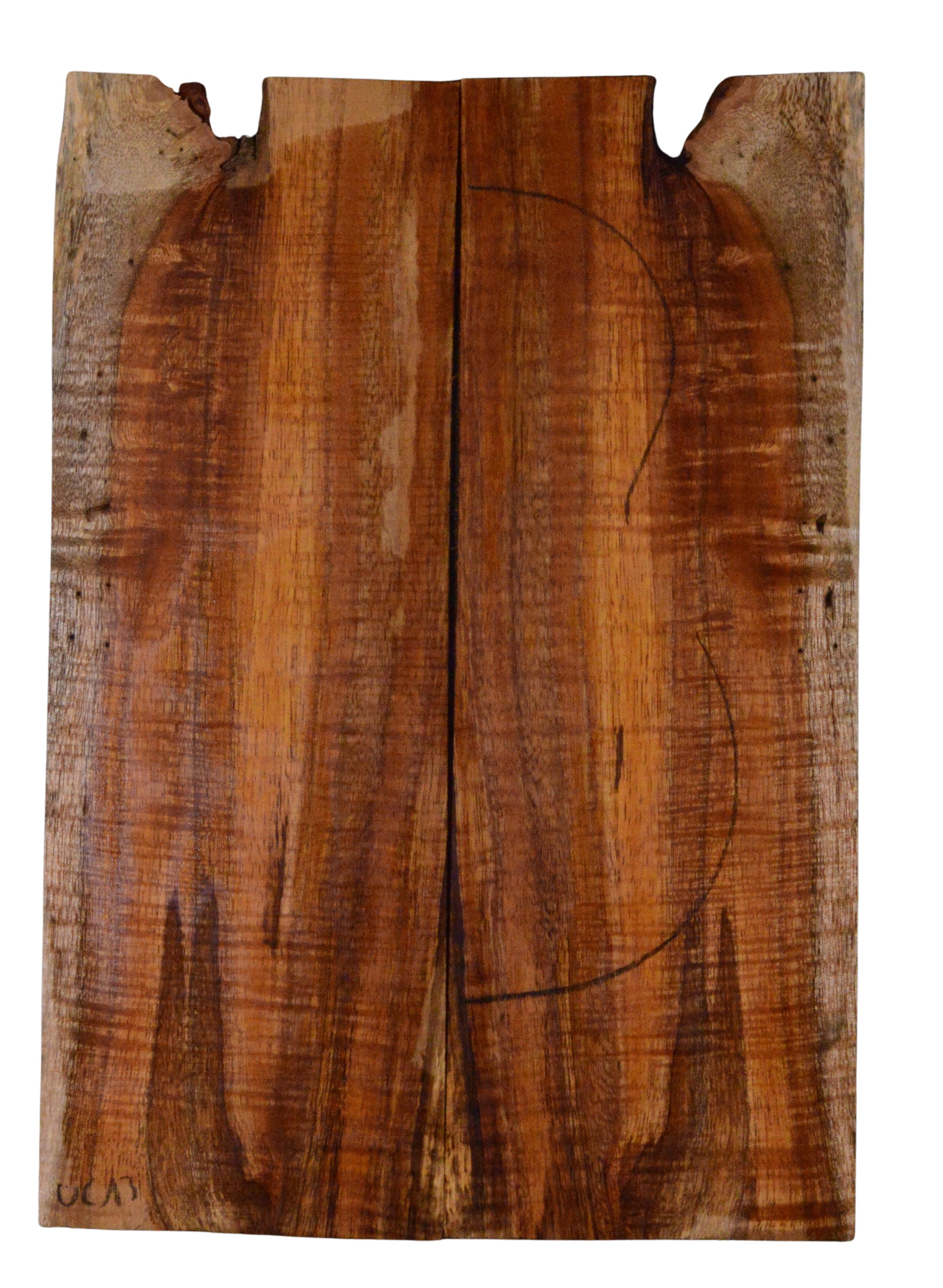 Koa UkeBack2pcATC L023945.G.028