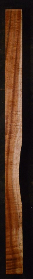 Koa GuitarBindingATC L023945.G.048