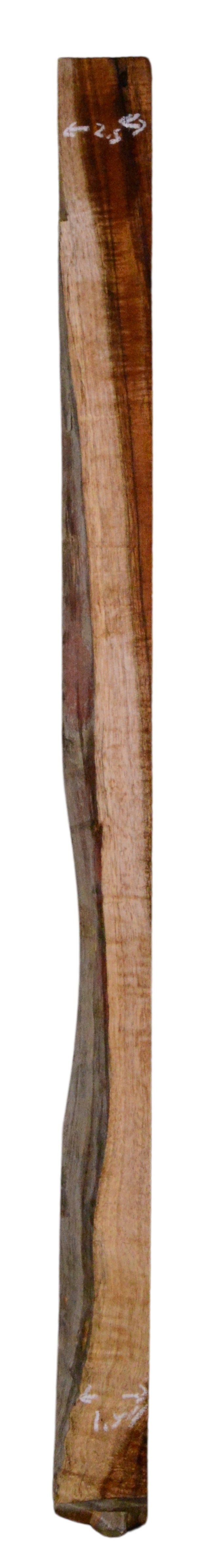 Koa GuitarBindingATC L023945.G.048