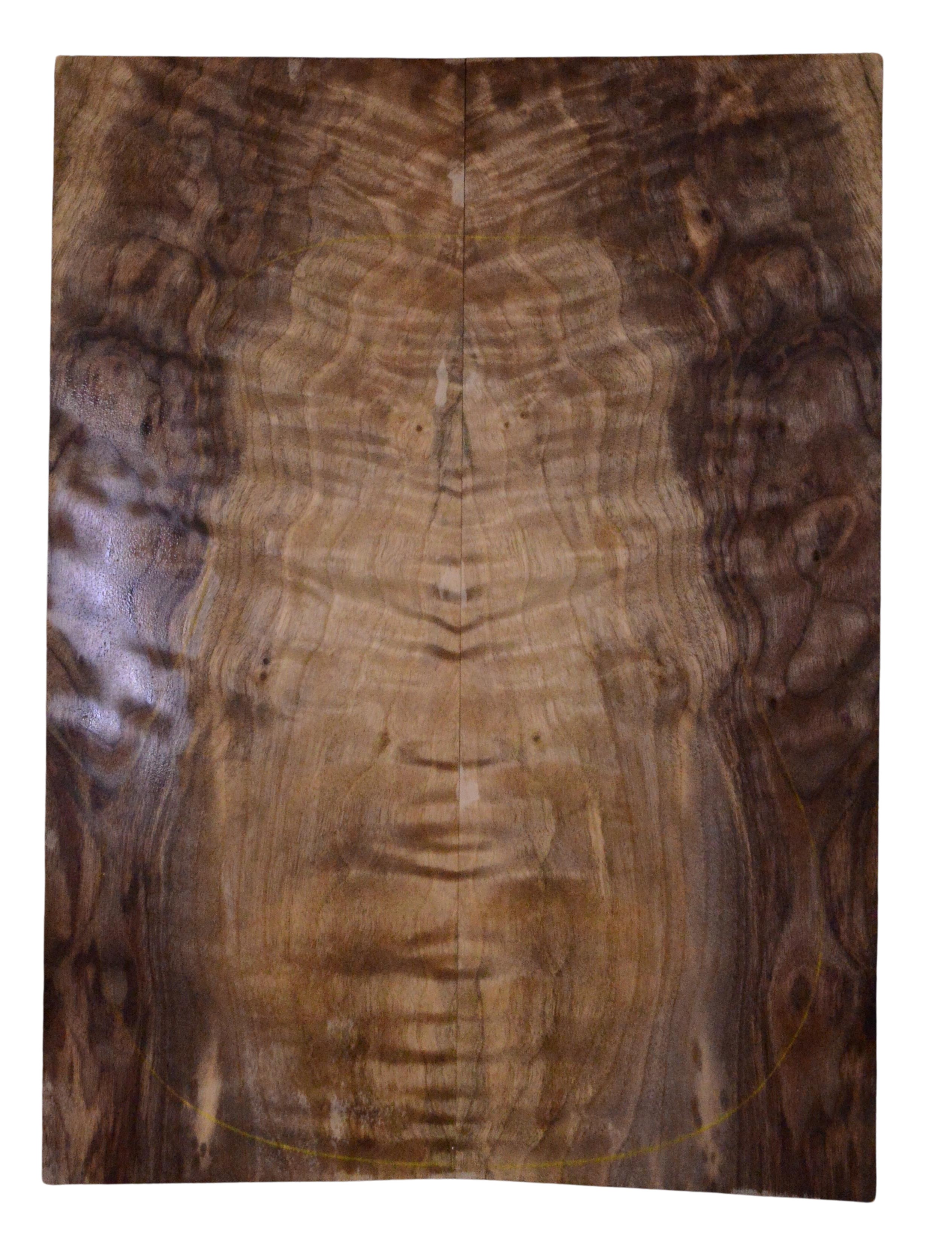 Walnut (Black) GuitarBack2pcATC L023947.G.030