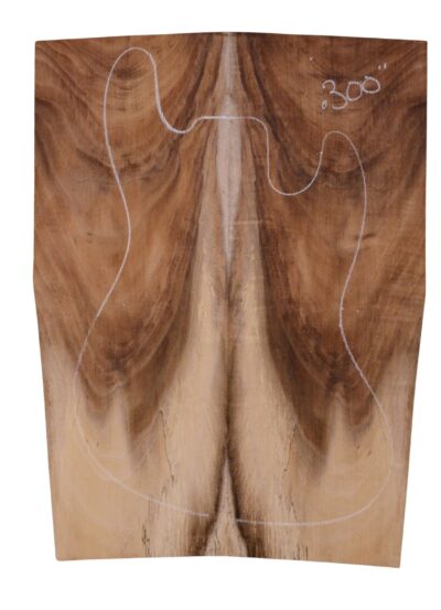Koa GuitarSolidBodyTopATC L023950.G.003