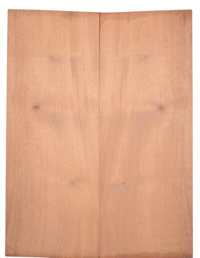 Mahogany (Sinker) GuitarBack2pcATC L026234.G.033