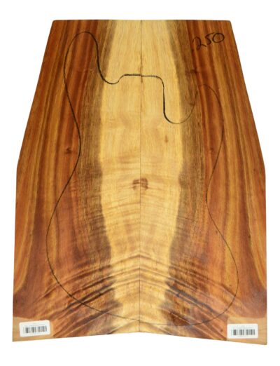 Koa GuitarSolidBodyTopATC L026347.G.011