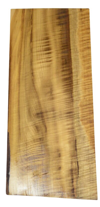 Myrtle (American) GuitarSolidBodyBilletATC L026351.G.001