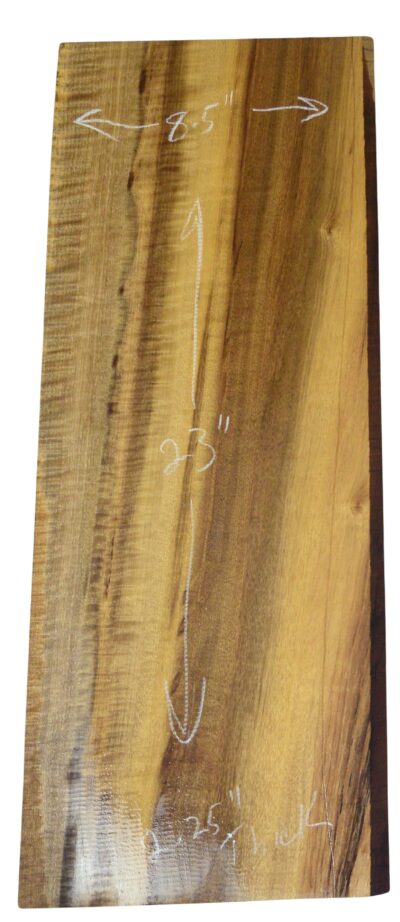Myrtle (American) GuitarSolidBodyBilletATC L026351.G.002