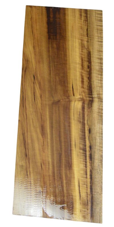 Myrtle (American) GuitarSolidBodyBilletATC L026351.G.002