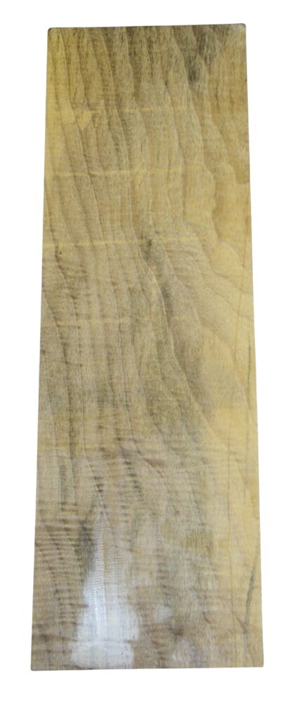 Myrtle (American) GuitarSolidBodyBilletATC L026351.G.004
