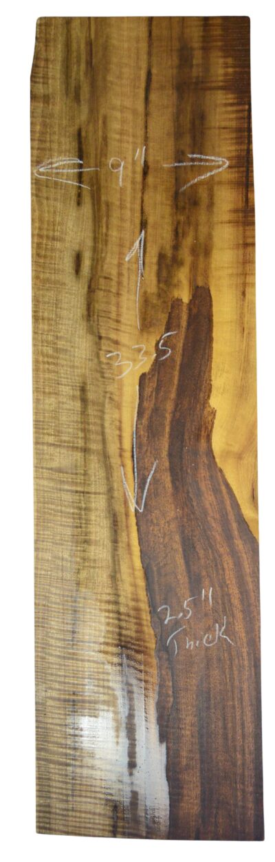 Myrtle (American) GuitarSolidBodyBilletATC L026351.G.005