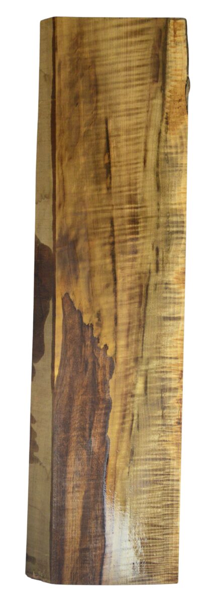 Myrtle (American) GuitarSolidBodyBilletATC L026351.G.005