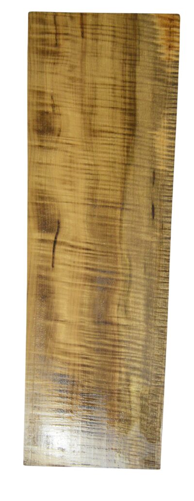 Myrtle (American) GuitarSolidBodyBilletATC L026351.G.006