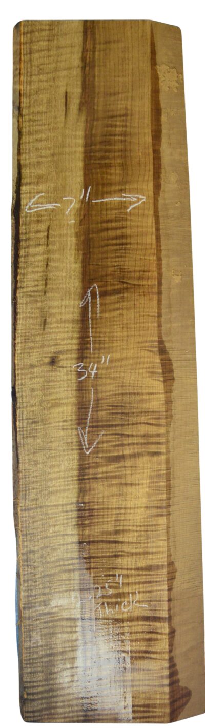 Myrtle (American) GuitarSolidBodyBilletATC L026351.G.007