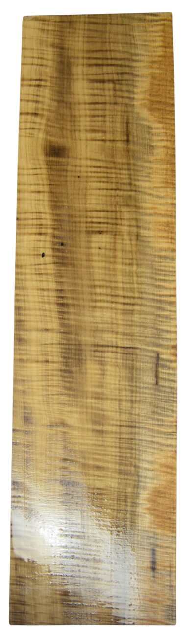 Myrtle (American) GuitarSolidBodyBilletATC L026351.G.007