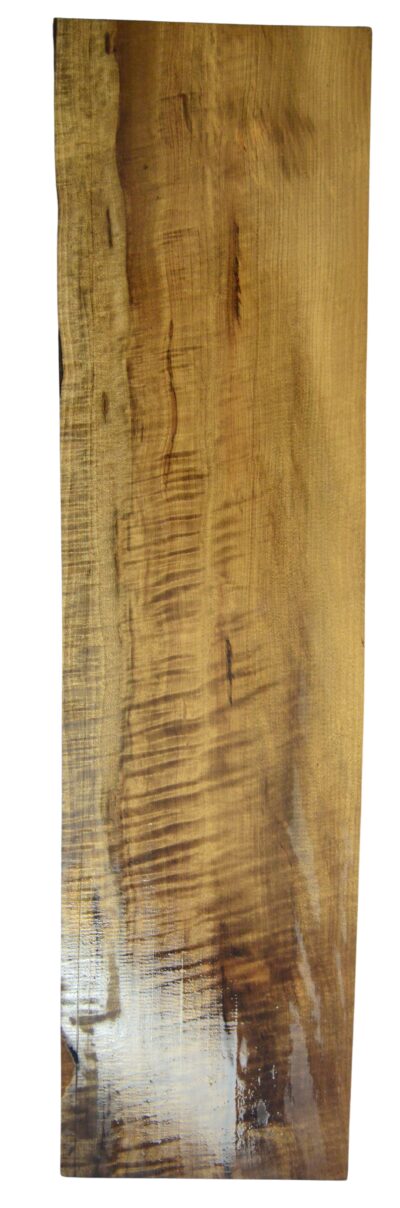 Myrtle (American) GuitarSolidBodyBilletATC L026351.G.008