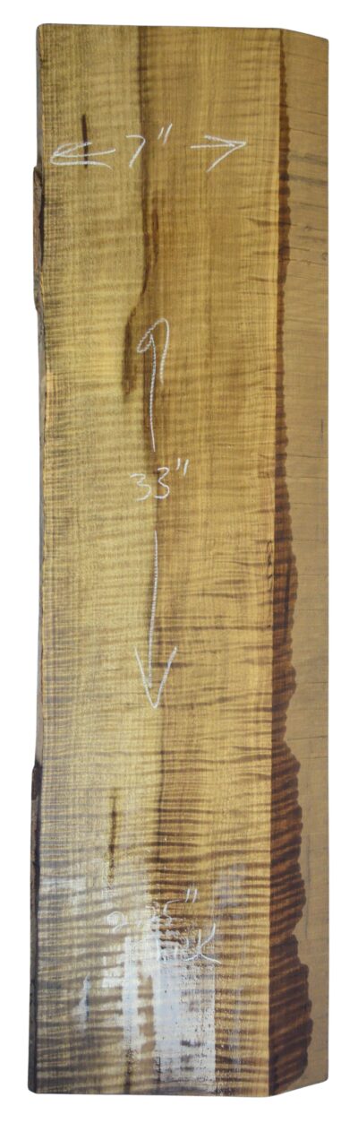 Myrtle (American) GuitarSolidBodyBilletATC L026351.G.009