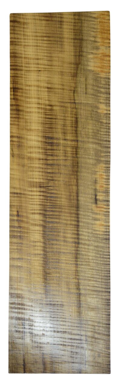 Myrtle (American) GuitarSolidBodyBilletATC L026351.G.009
