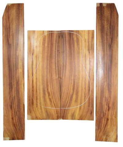 Guanacaste(Sinker) GuitarSet4pcATC L026562.G.004