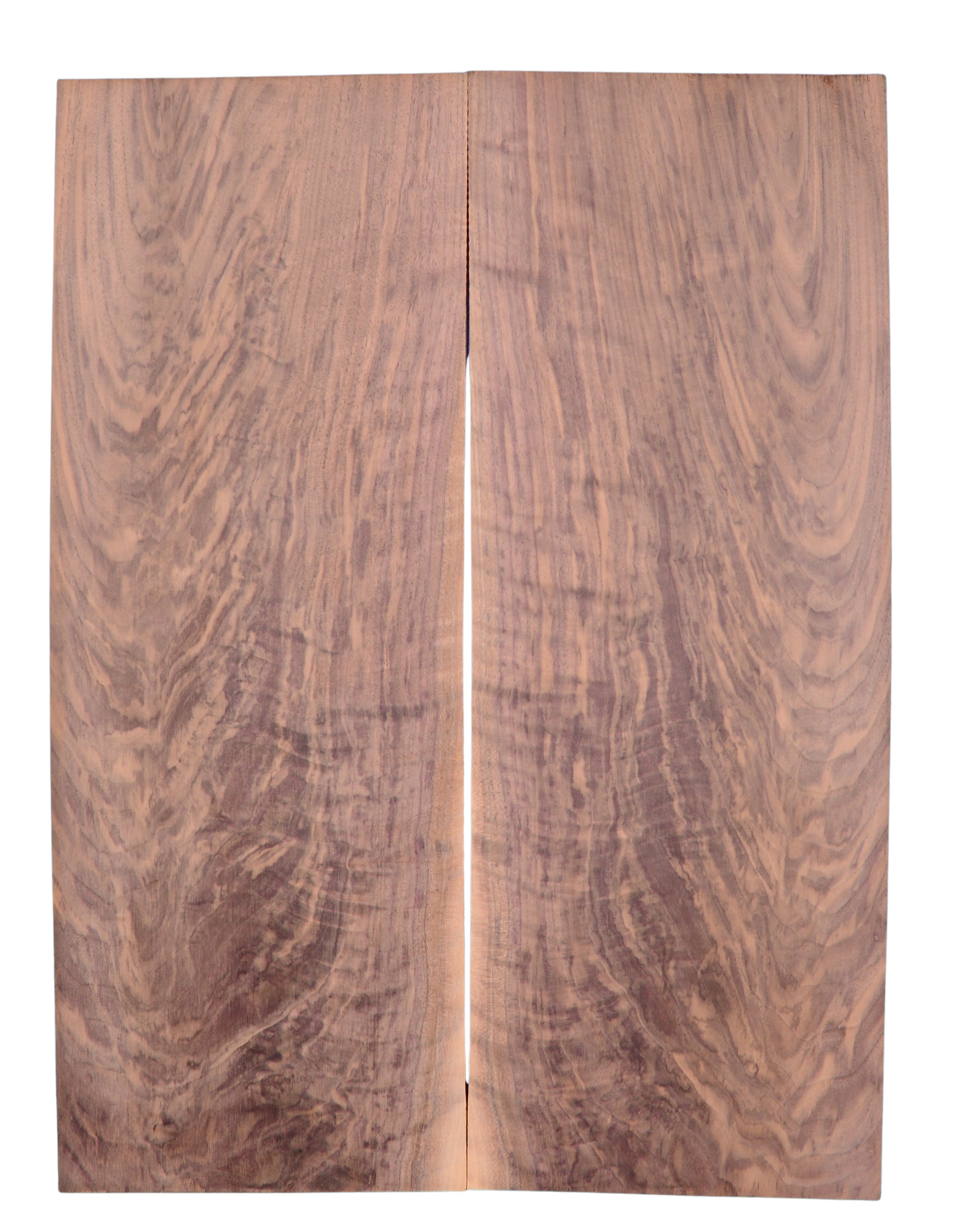 Walnut (Black) GuitarSolidBodyTopATC L026571.G.001