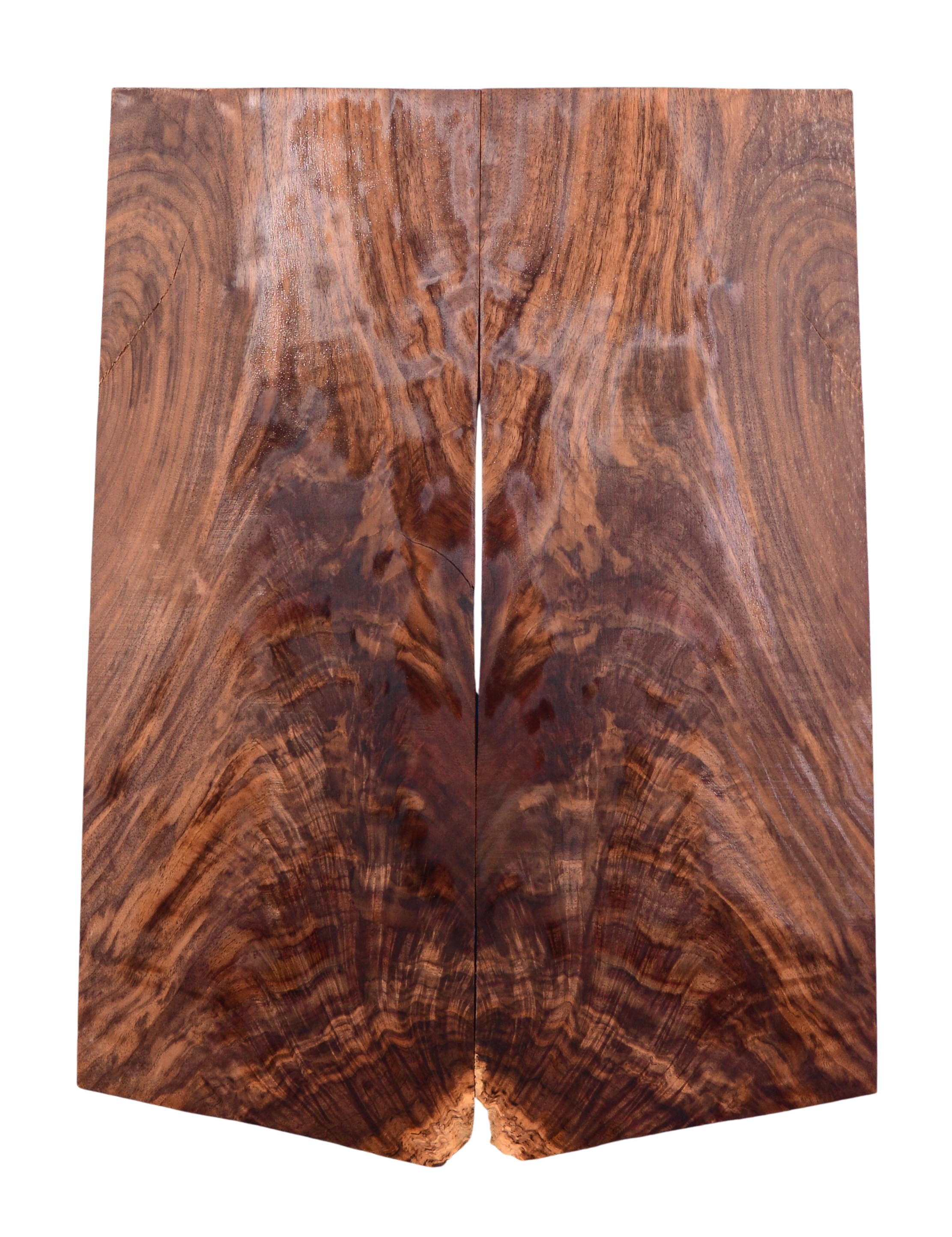 Walnut (Black) GuitarSolidBodyTopATC L026571.G.002