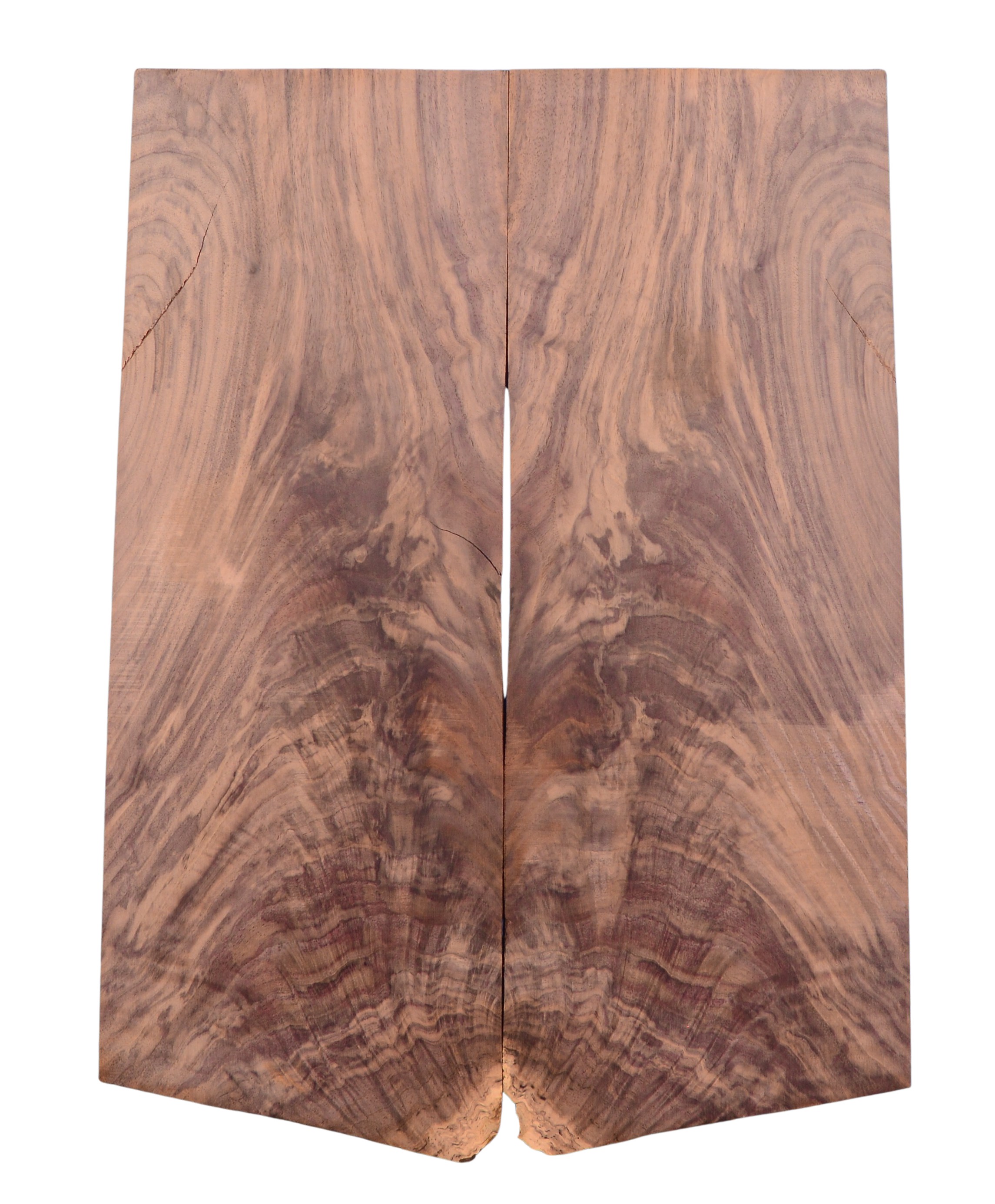 Walnut (Black) GuitarSolidBodyTopATC L026571.G.002