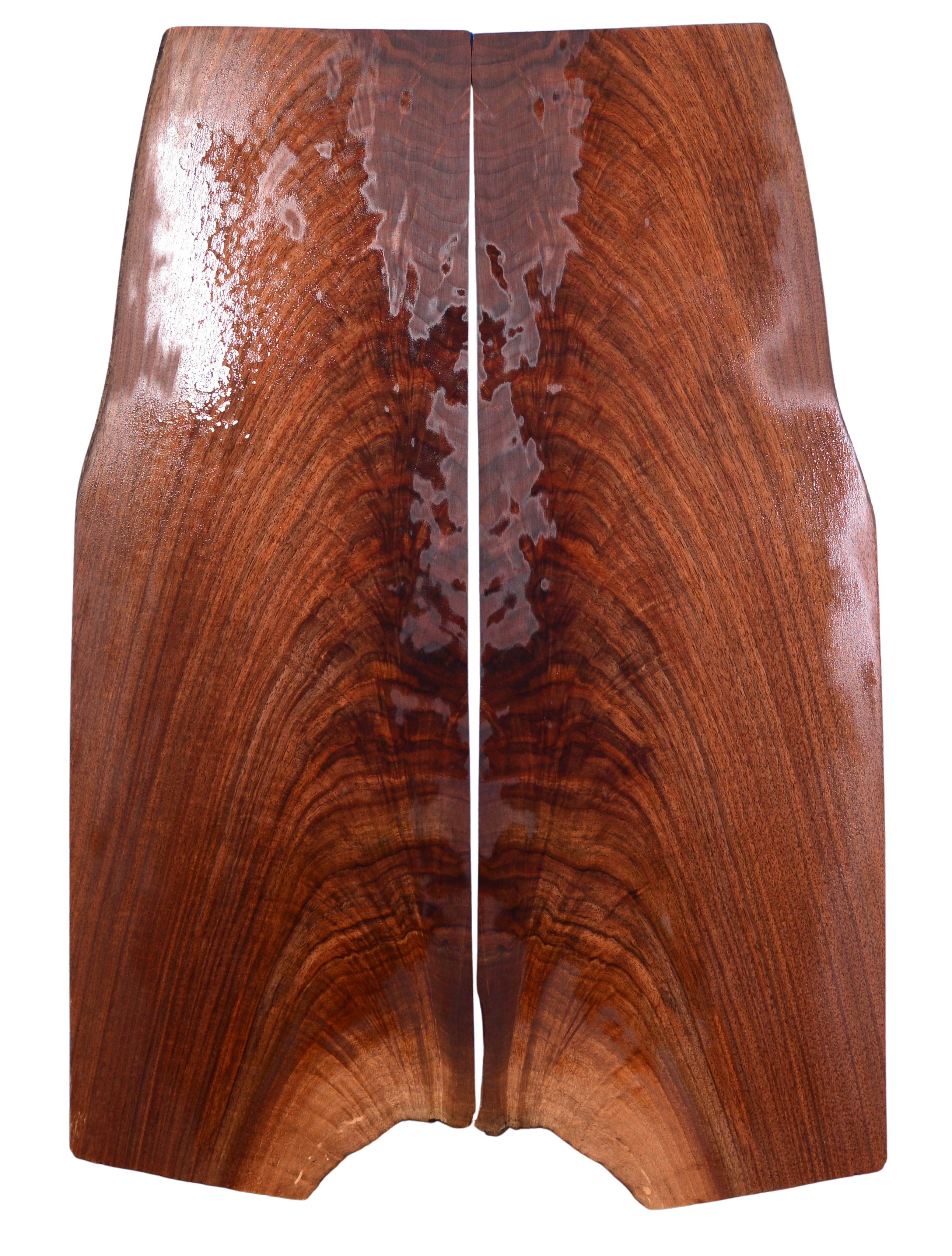 Walnut (Black) GuitarSolidBodyTopATC L026571.G.003