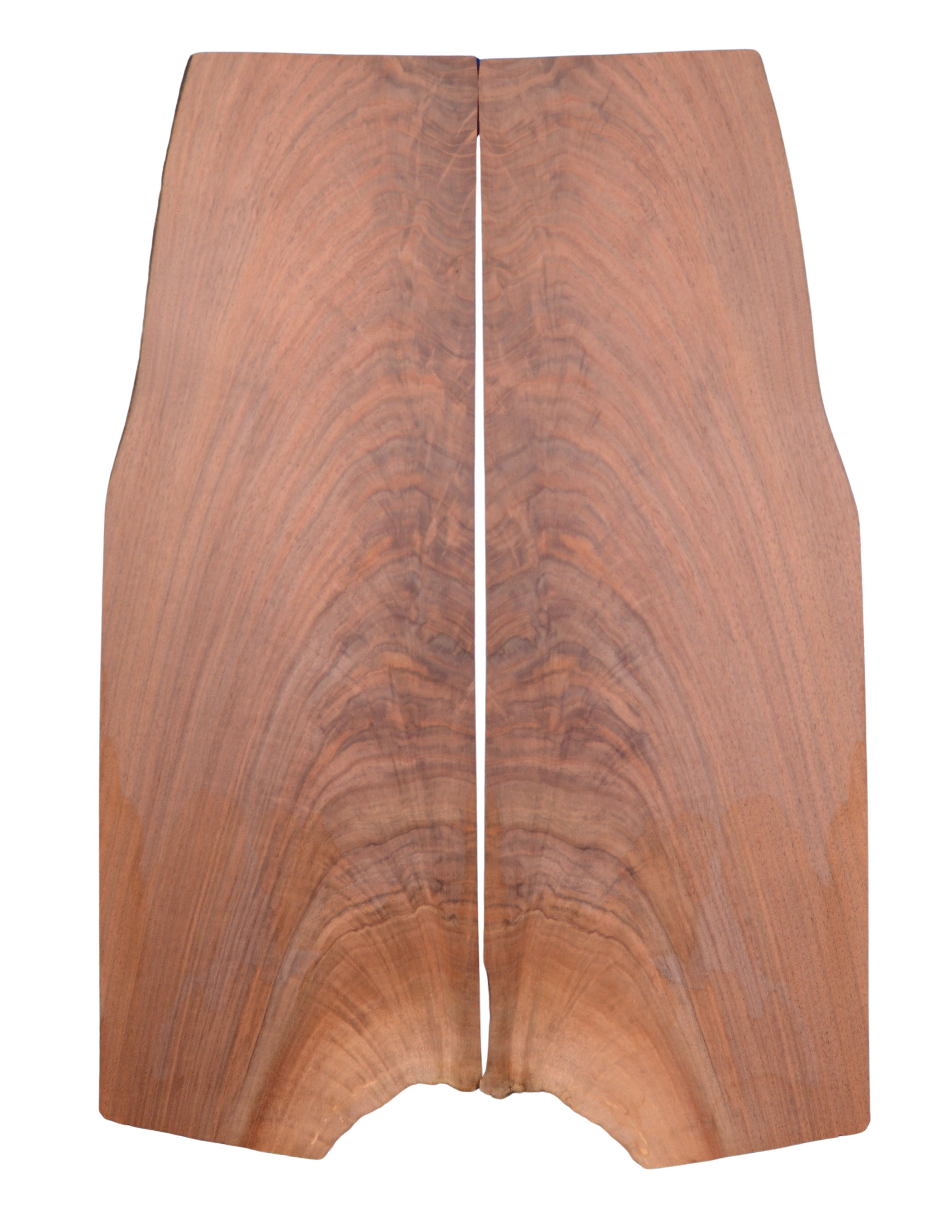 Walnut (Black) GuitarSolidBodyTopATC L026571.G.003