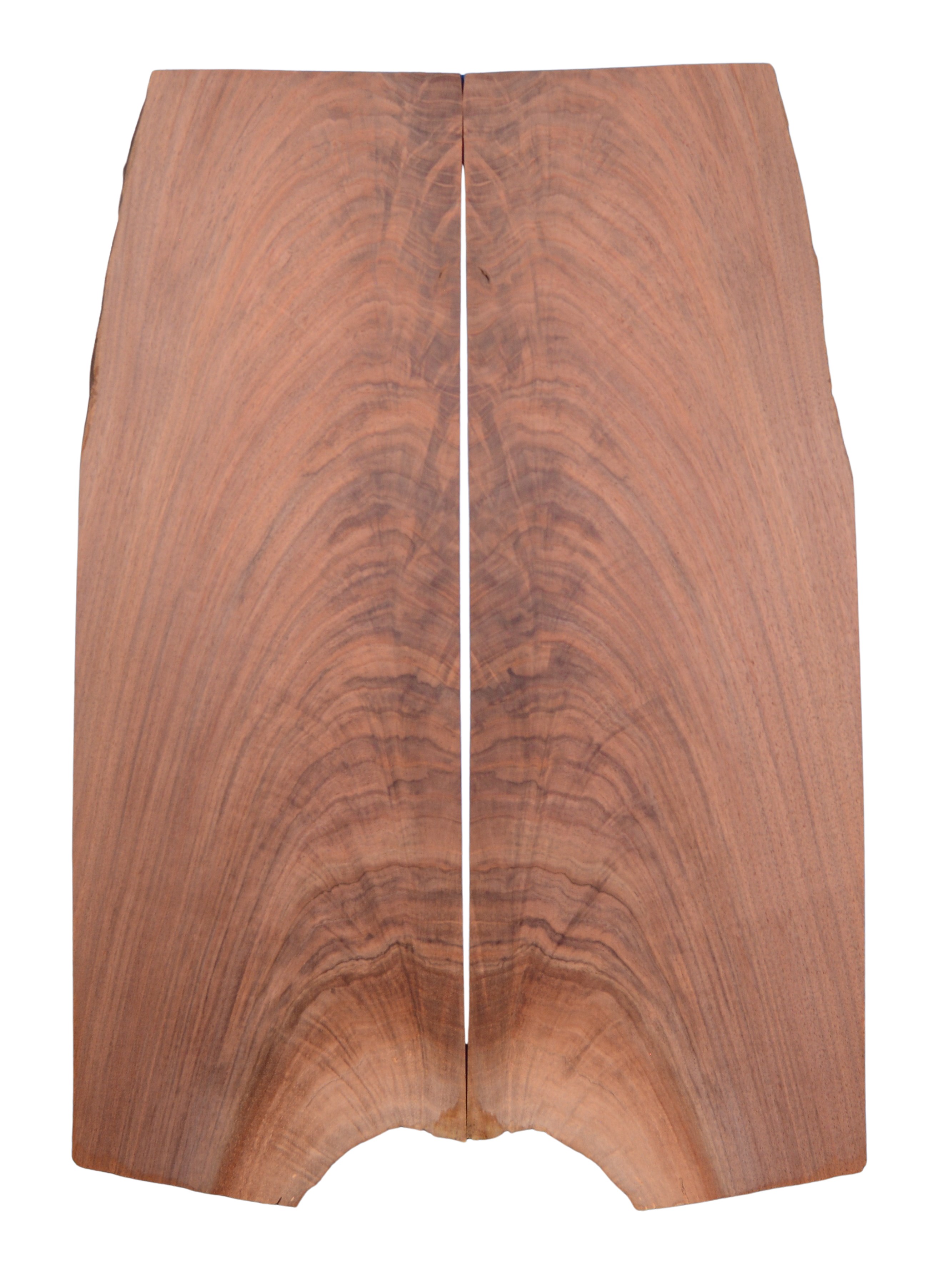 Walnut (Black) GuitarSolidBodyTopATC L026571.G.004