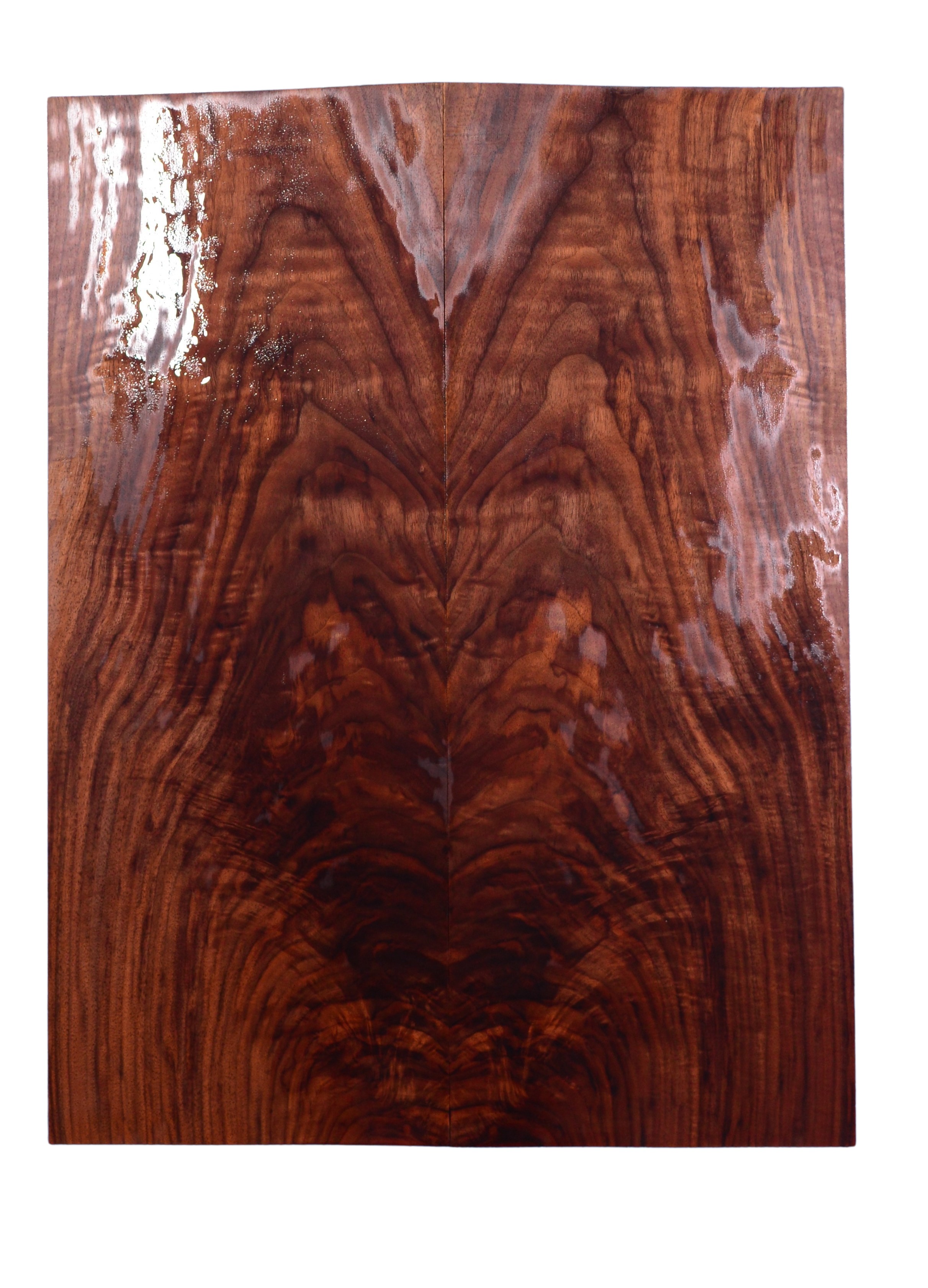 Walnut (Black) GuitarSolidBodyTopATC L026571.G.006
