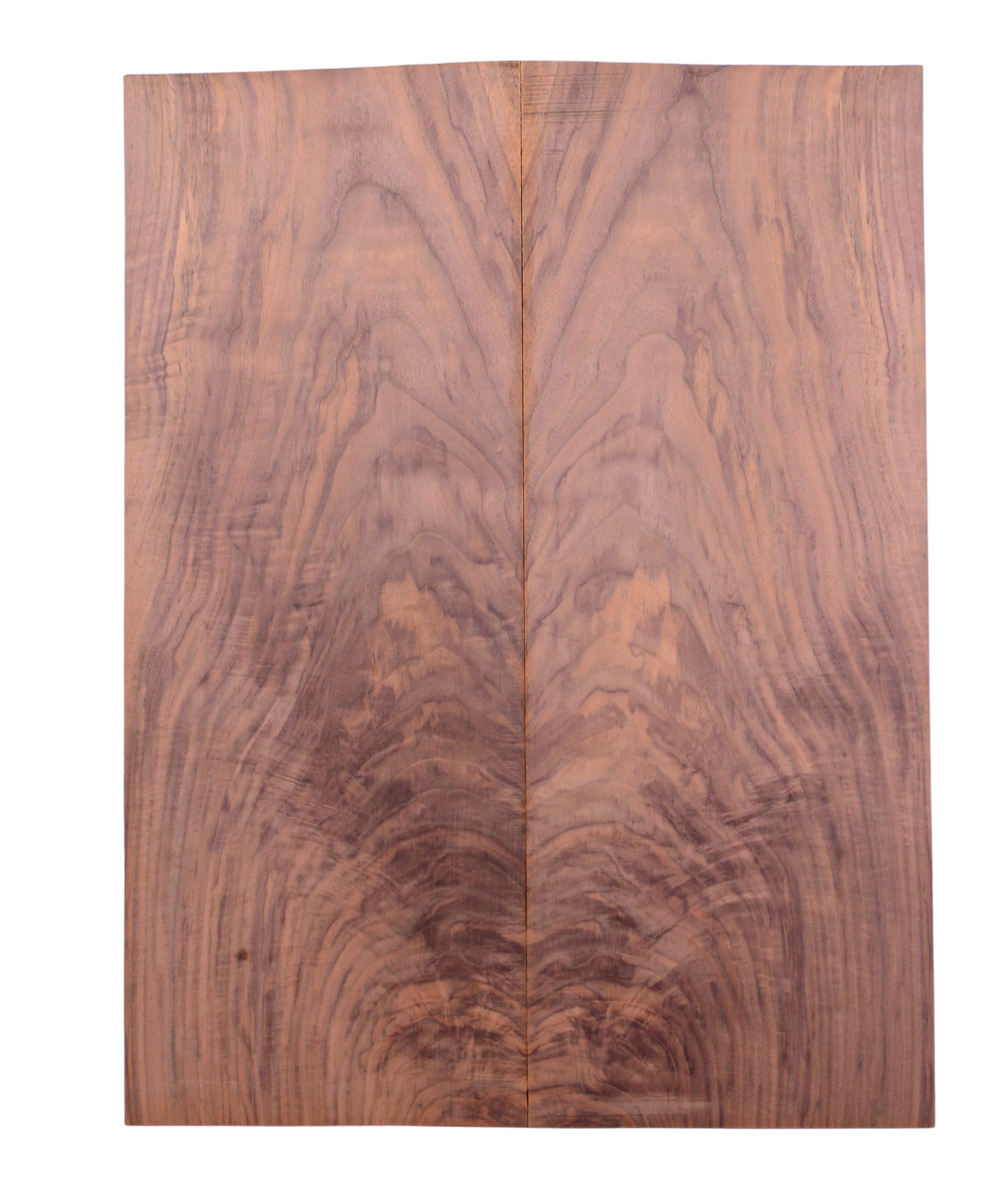 Walnut (Black) GuitarSolidBodyTopATC L026571.G.006
