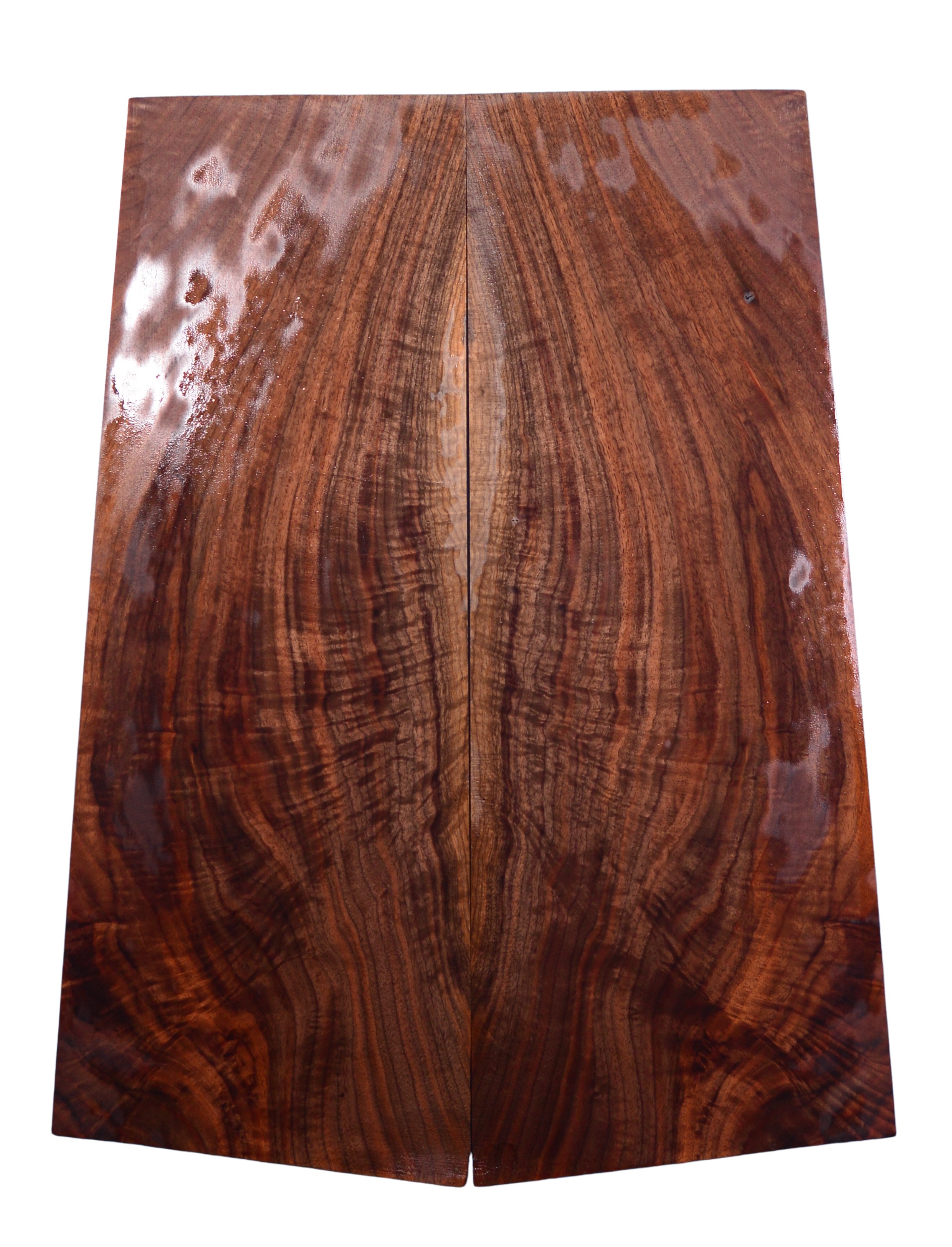 Walnut (Black) GuitarSolidBodyTopATC L026571.G.007