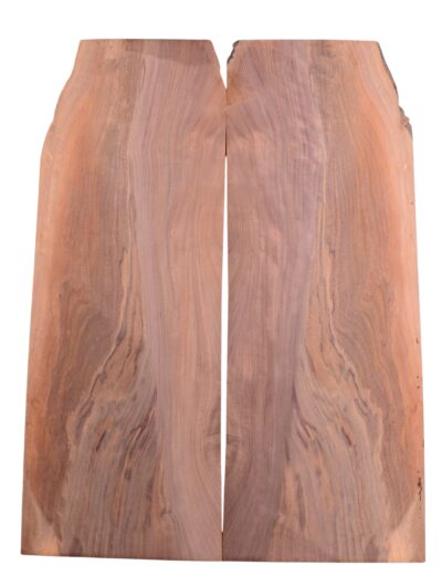 Walnut (Black) GuitarSolidBodyTopATC L026571.G.011