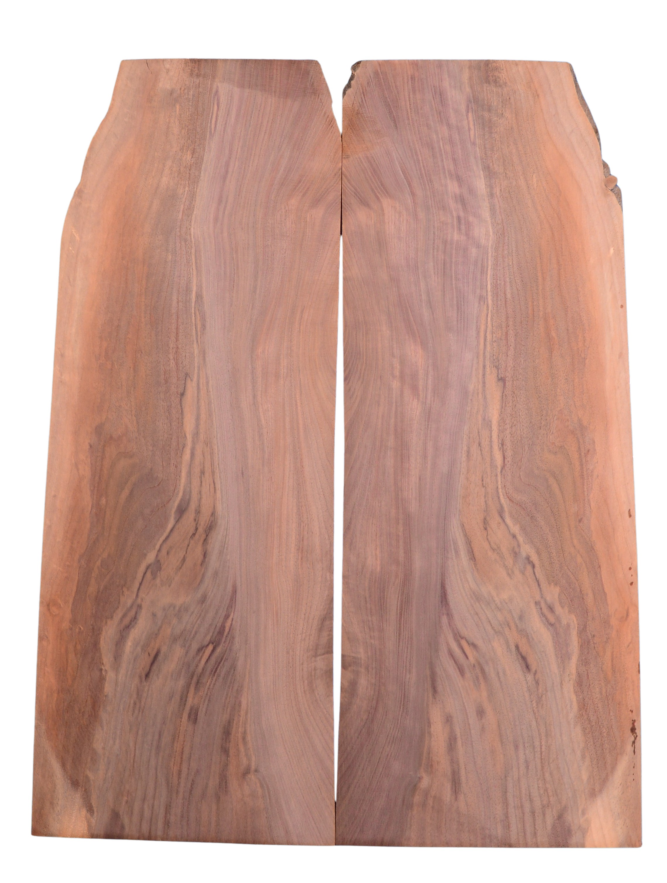 Walnut (Black) GuitarSolidBodyTopATC L026571.G.011