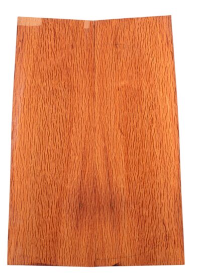 Sheoak GuitarBack2pcATC L10881.G.029