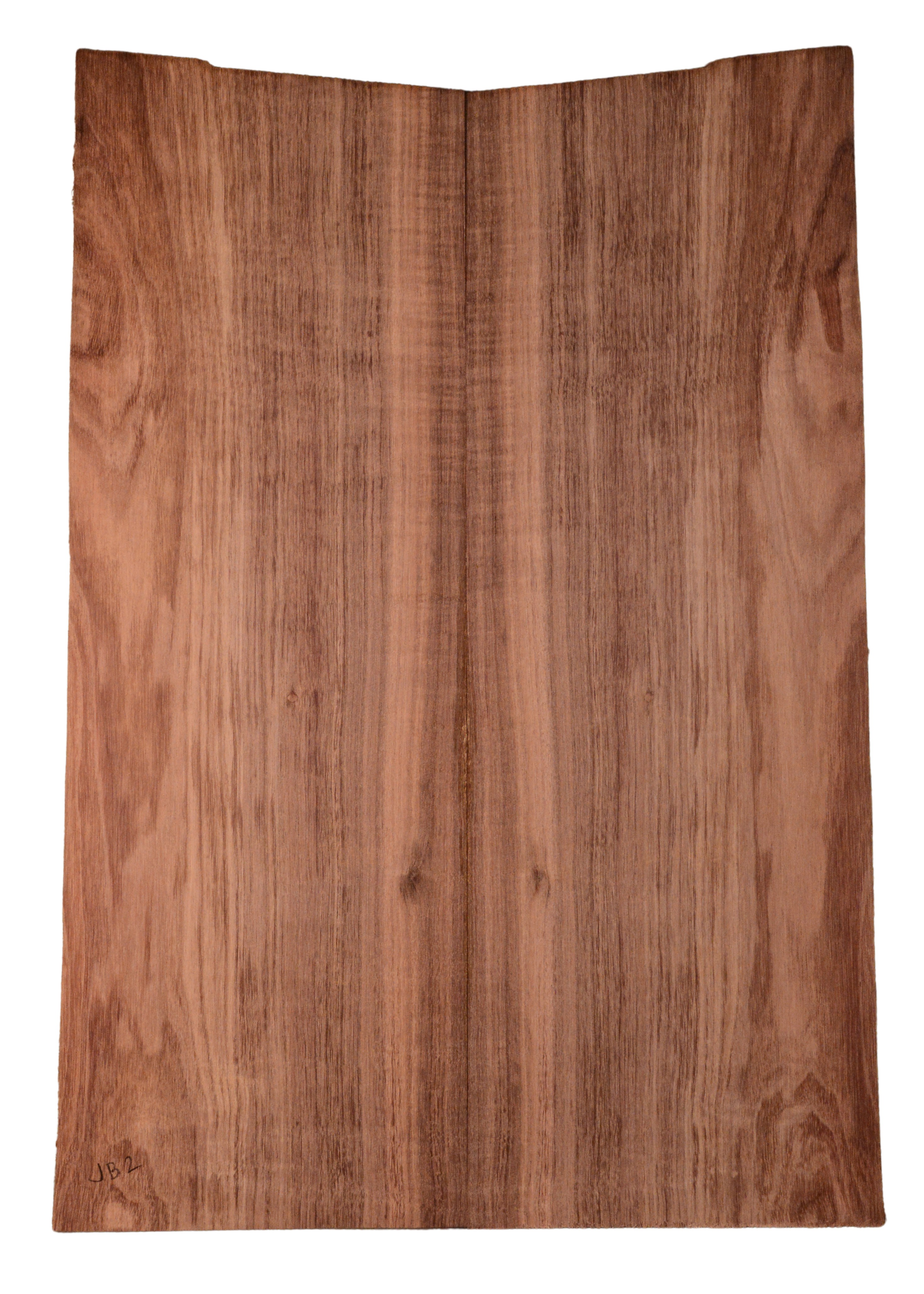 Blackwood (Tasmanian) GuitarBack2pcATC L15445.G.082