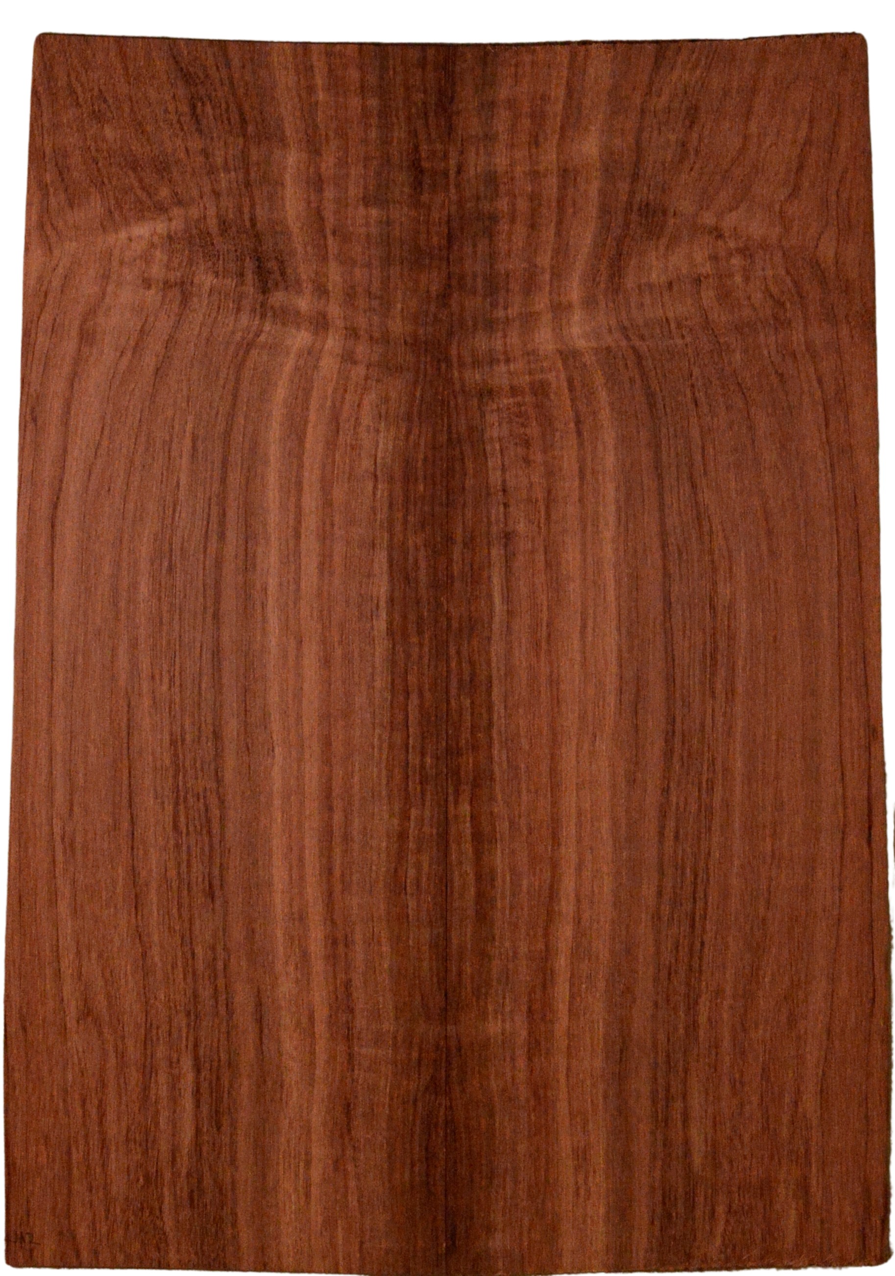 Blackwood (Tasmanian) GuitarBack2pcATC L15445.G.283