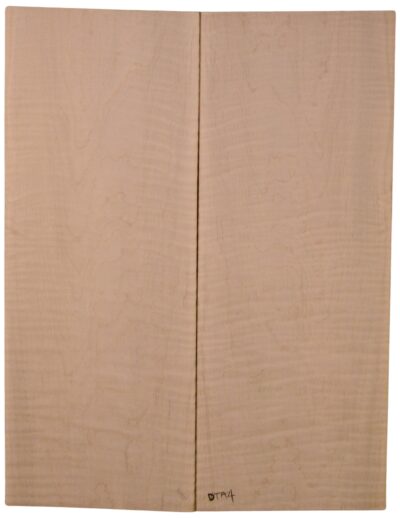 Maple (Soft) GuitarSolidBodyTopATC L15449.G.096
