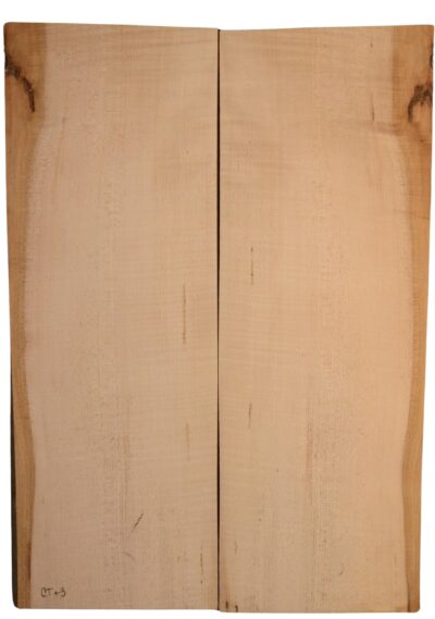 Maple (Soft) GuitarSolidBodyTopATC L15449.G.120
