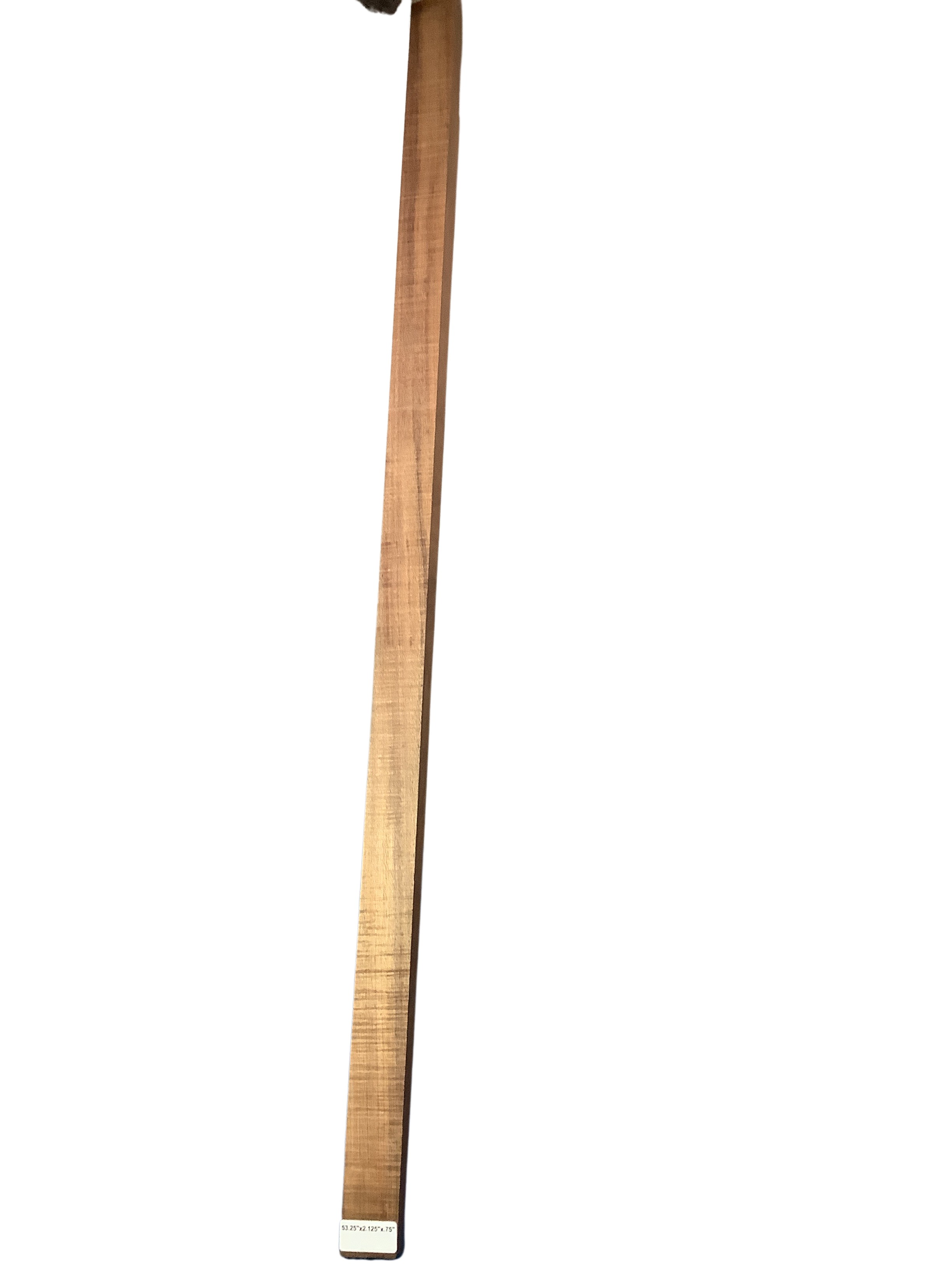 Blackwood (Tasmanian) GuitarBindingATC L15462.G.006