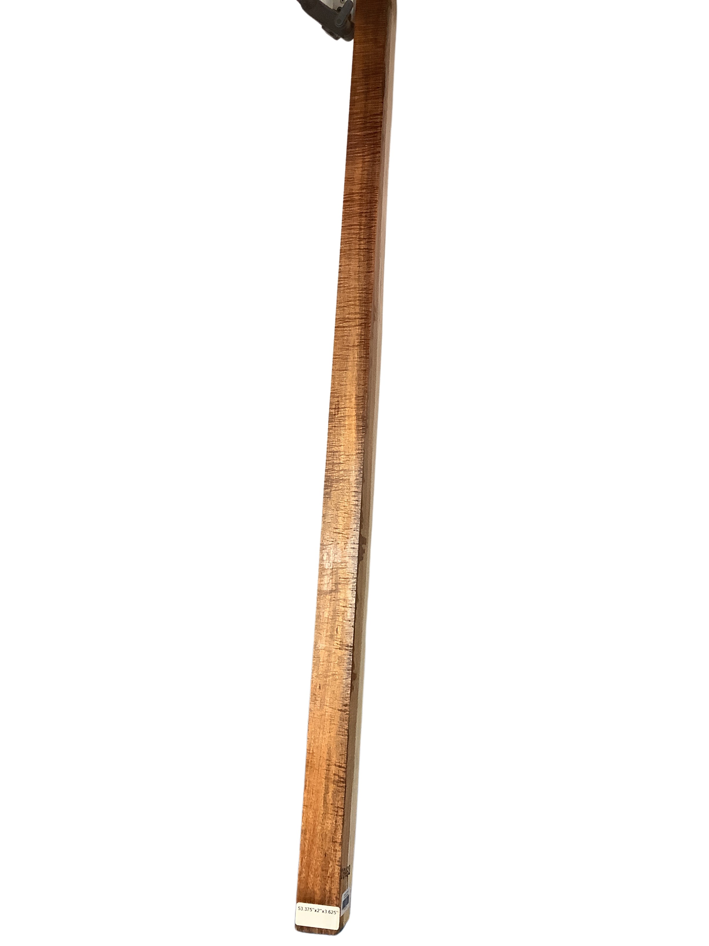 Blackwood (Tasmanian) GuitarBindingATC L15462.G.018