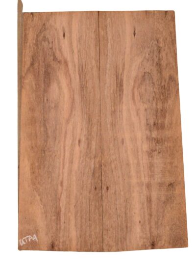Koa UkeBack2pcATC L15486.G.025