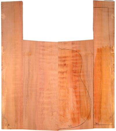 Myrtle (Tasmanian) GuitarSides2pcATC L15497.G.024