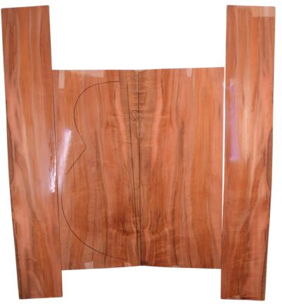 Myrtle (Tasmanian) GuitarSet4pcATC L15497.G.063