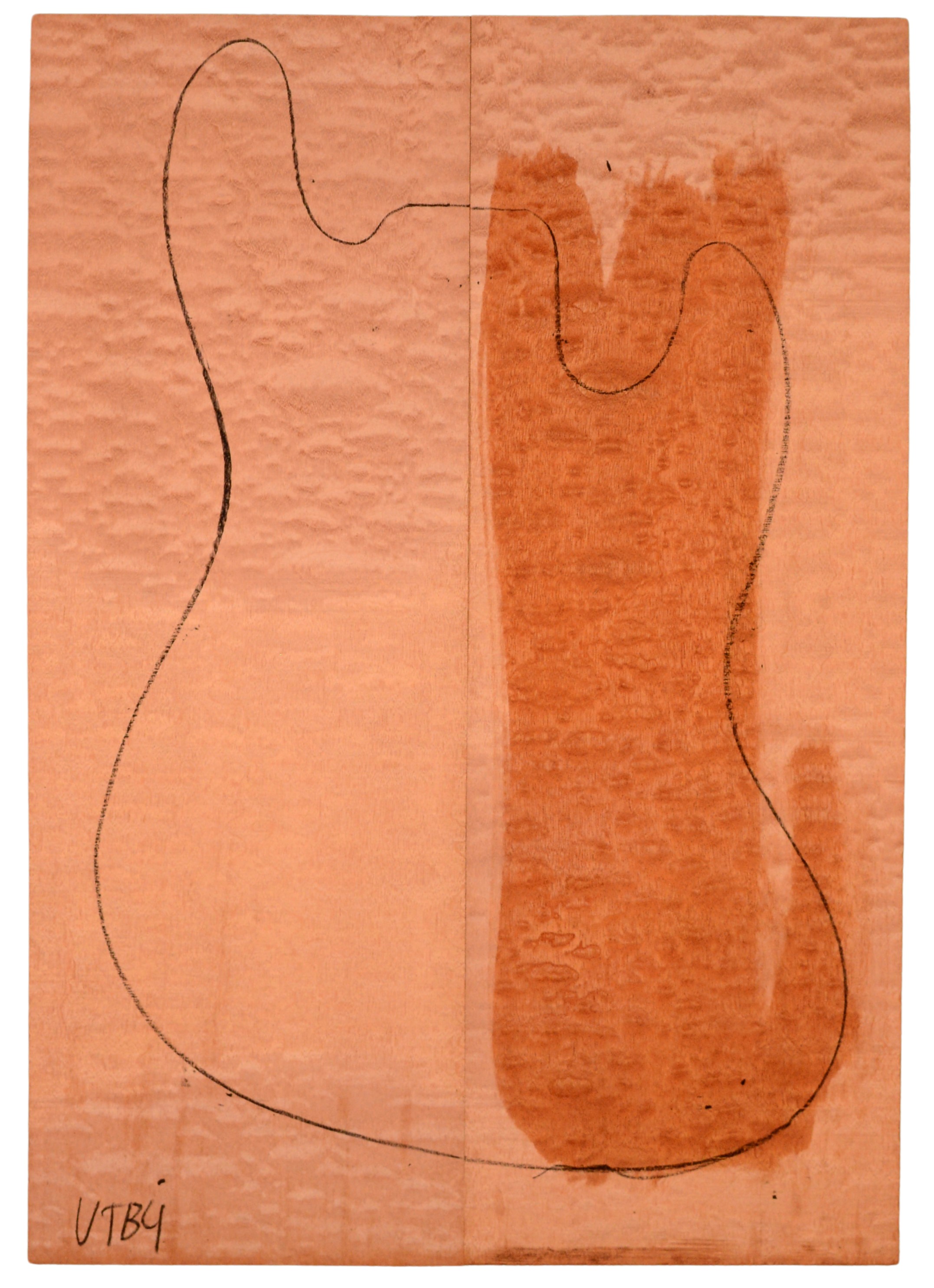 Sapele GuitarSolidBodyTopATC L15499.G.018