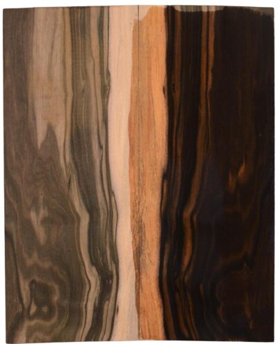 Ebony (Macassar) GuitarBack2pcATC L15511.G.054