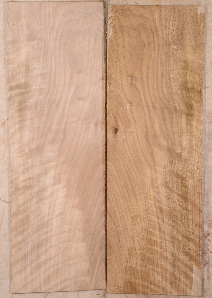 Walnut (English) GuitarBack2pcATC L15769.G.024